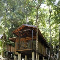 Rainforest chalet3
